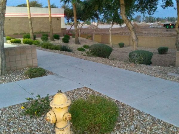 Commercial Landscaper Service Arizona