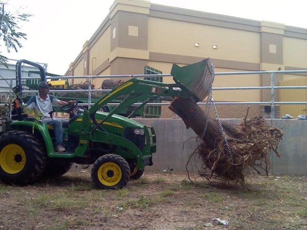 Commercial Landscaping Arizona